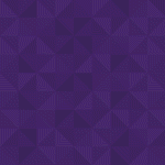 320433695 Banner E