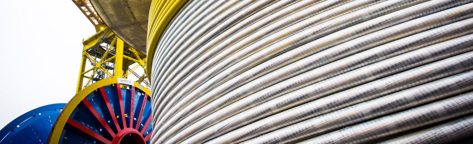 umbilicals overview