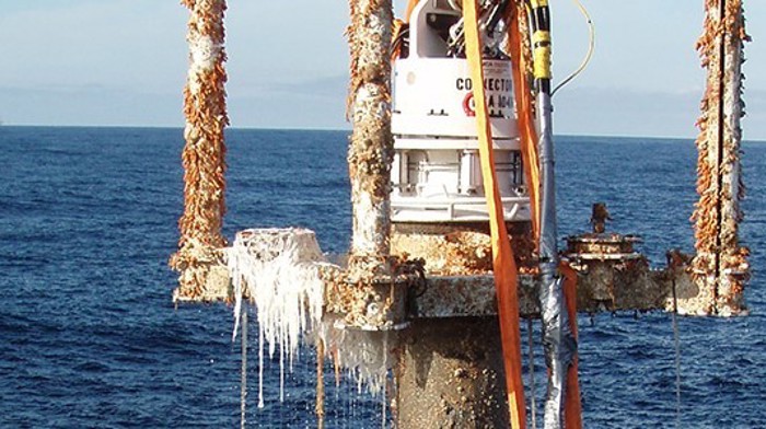 Plug And Abandonment