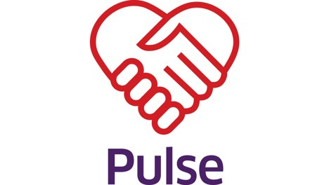 our values  pulse v2