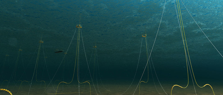 Dynamic Inter Array Cable System - TechnipFMC plc